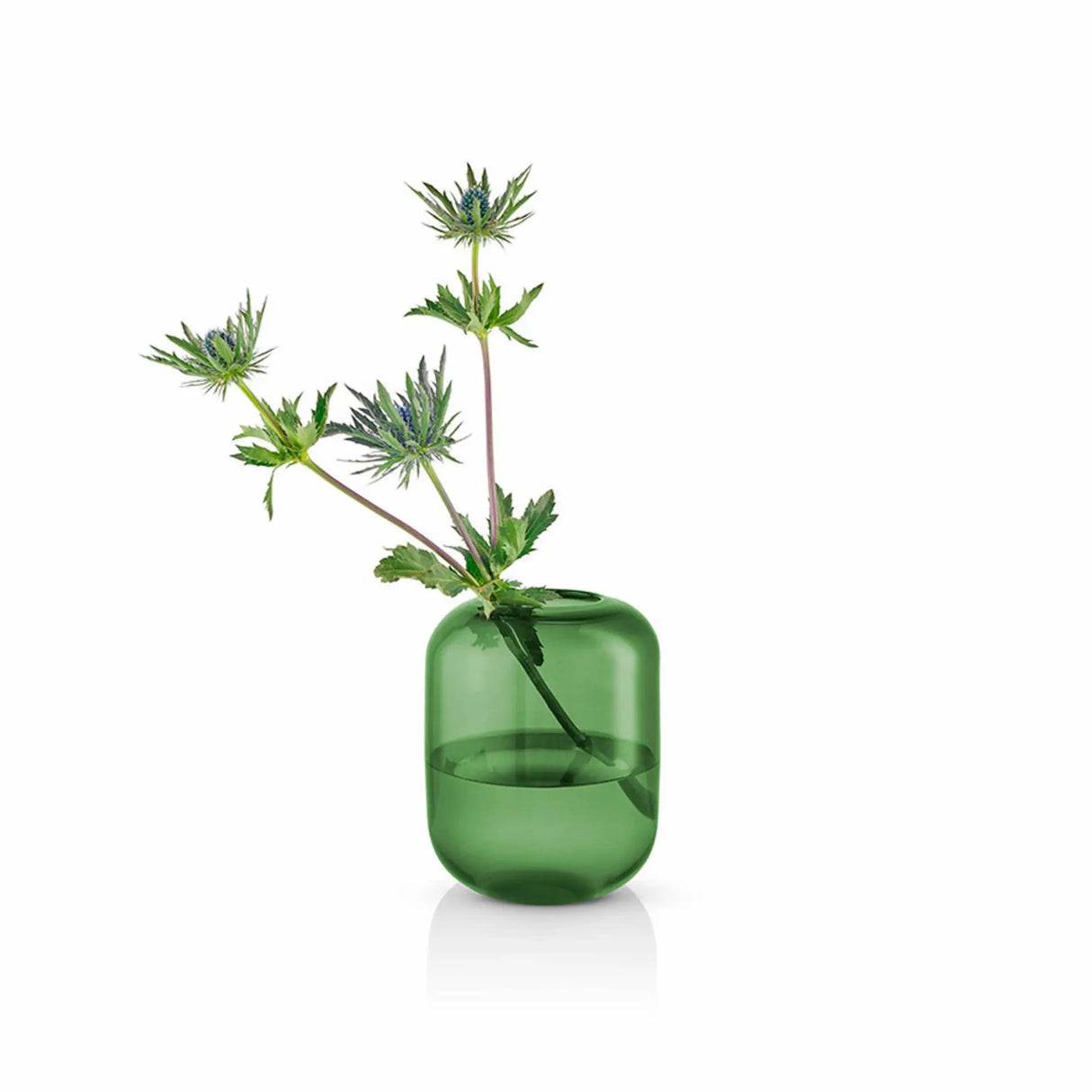 Acorn vase H16.5 Pine