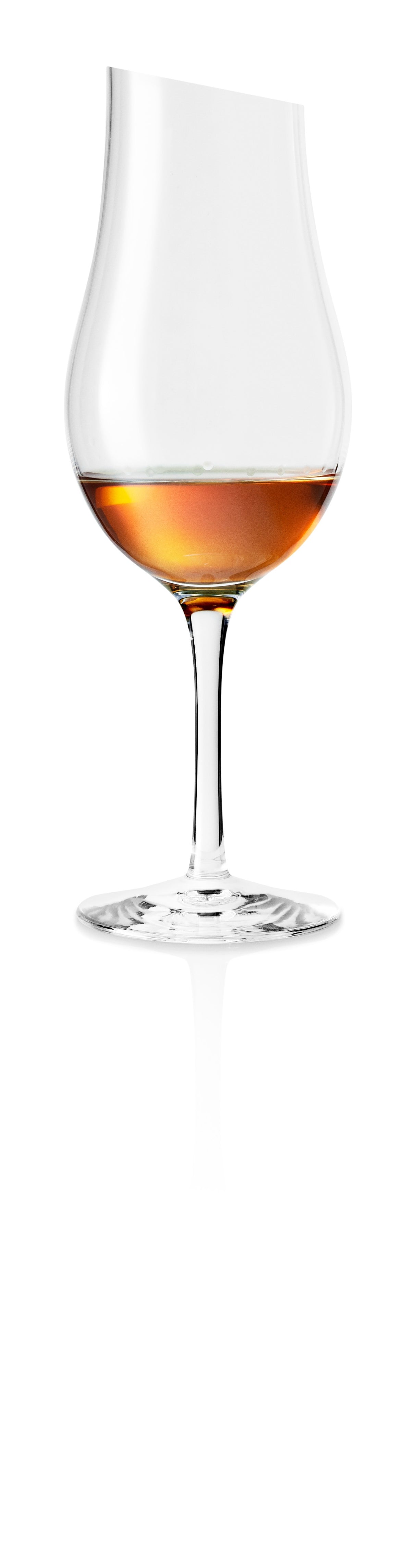 Liquor glass 24cl