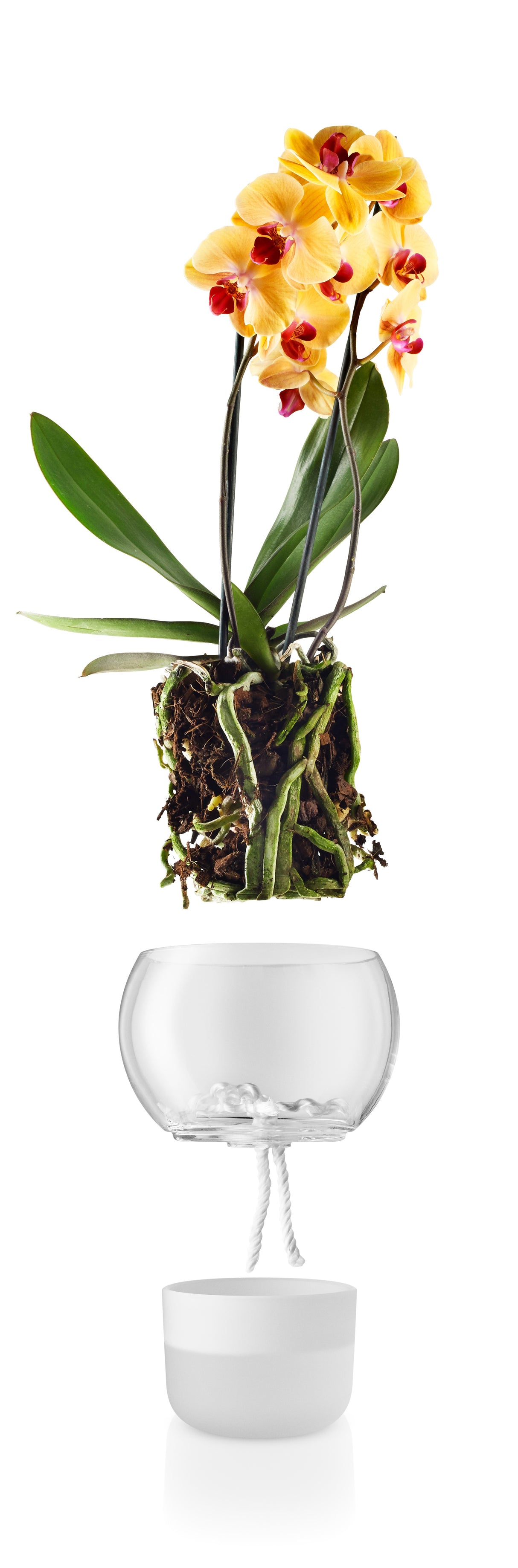 Orchid pot Ø15 cm Frosted