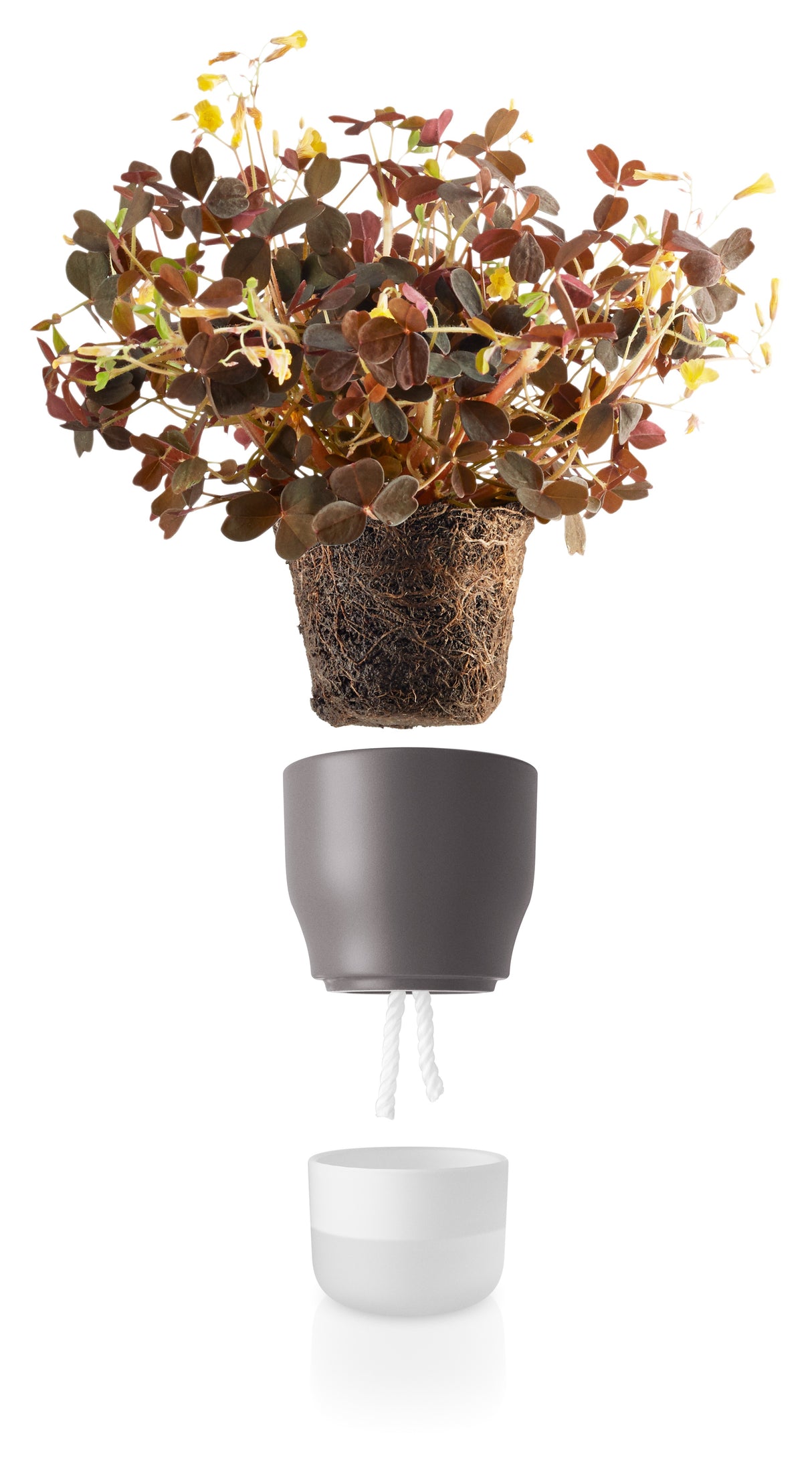 Self watering plant pot 9cm Nordic grey
