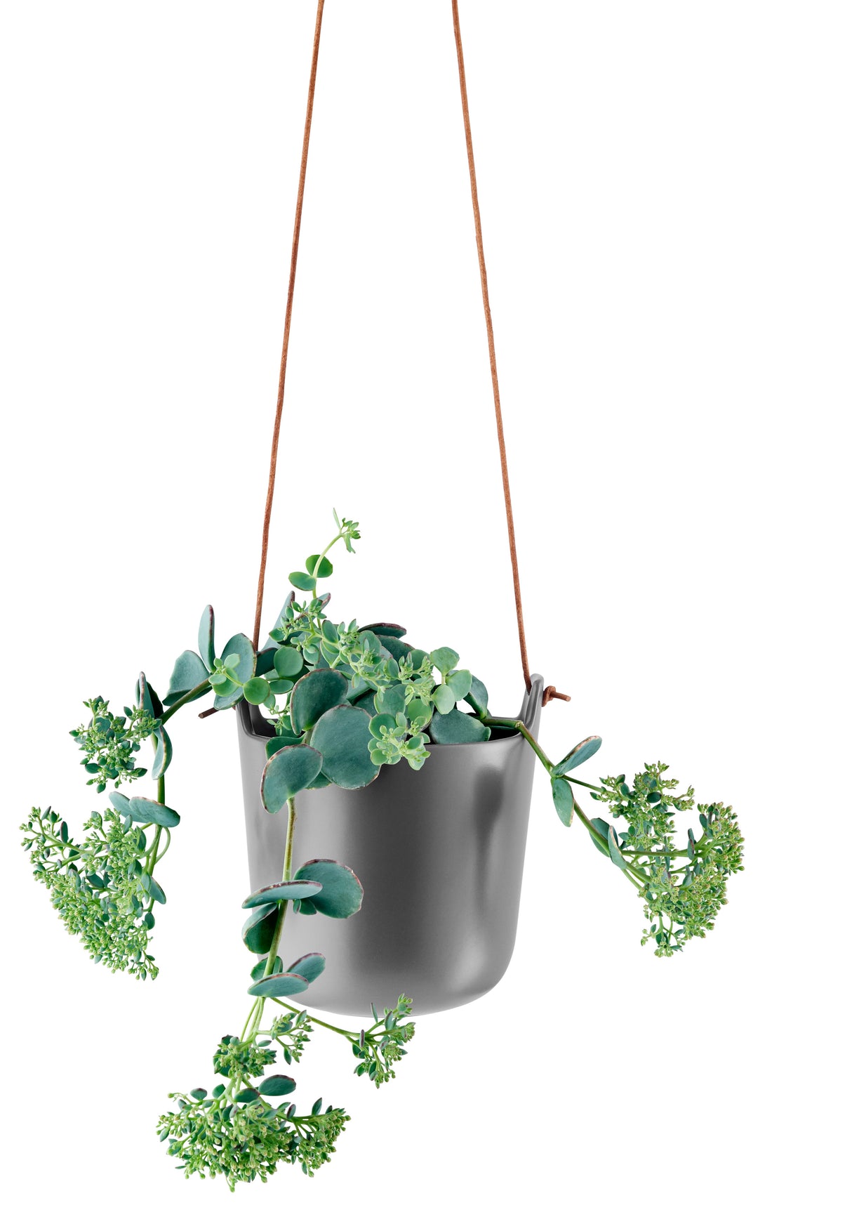 Selfwatering pots hanging Nordic grey