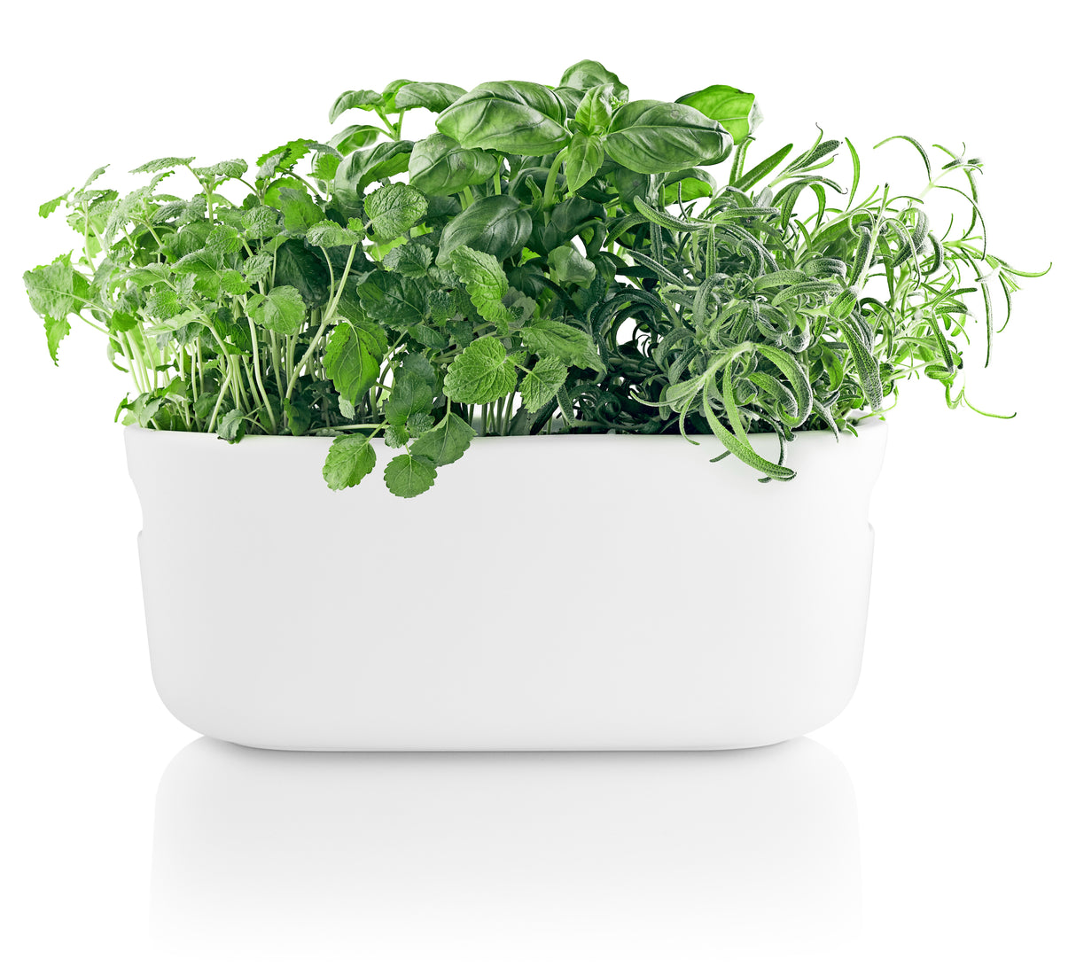Self-watering herb organiser White