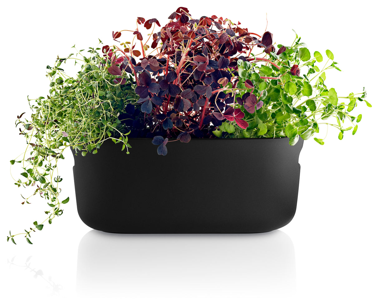 Self-watering herb organiser Black