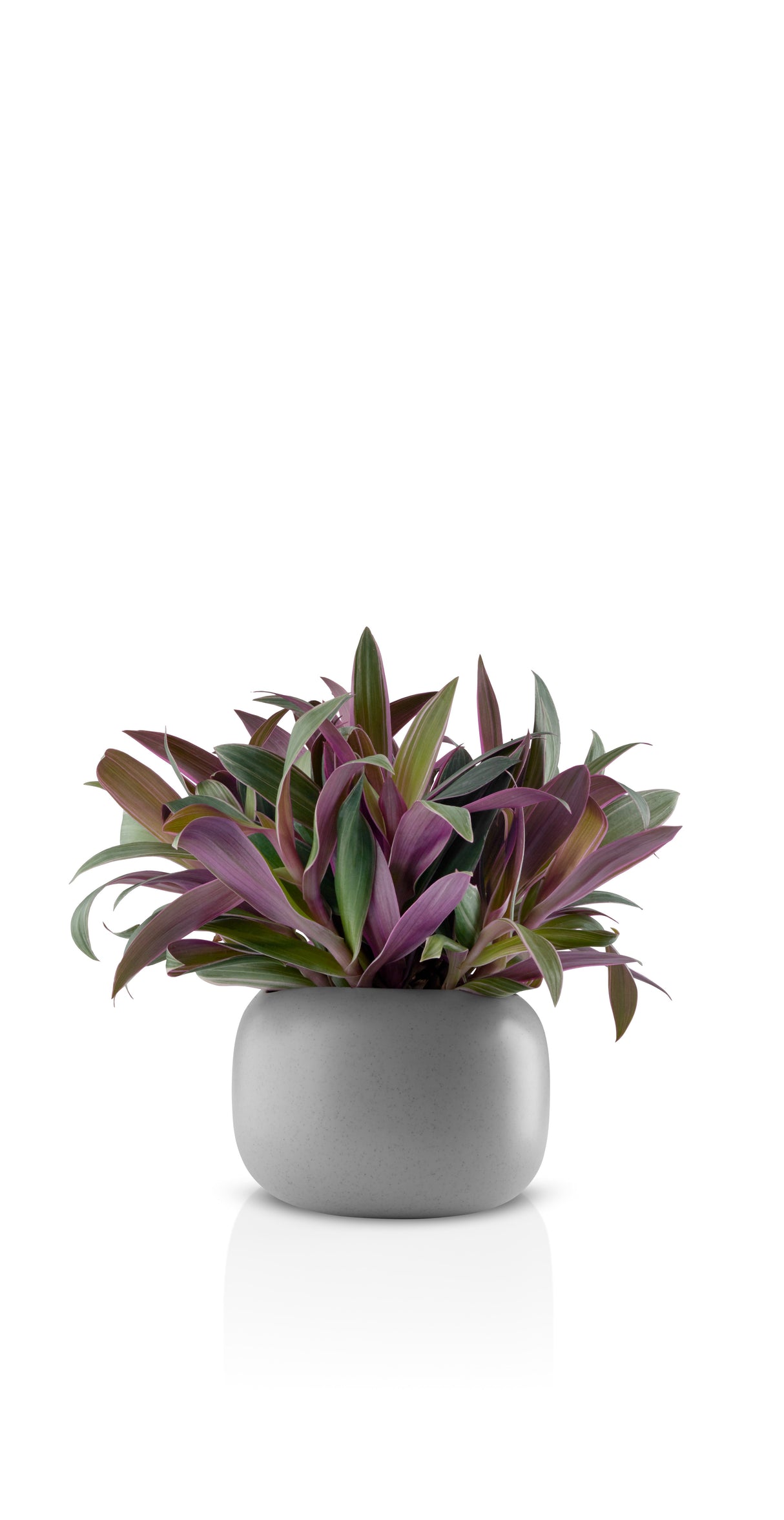 Stone flowerpot Ø16 cm