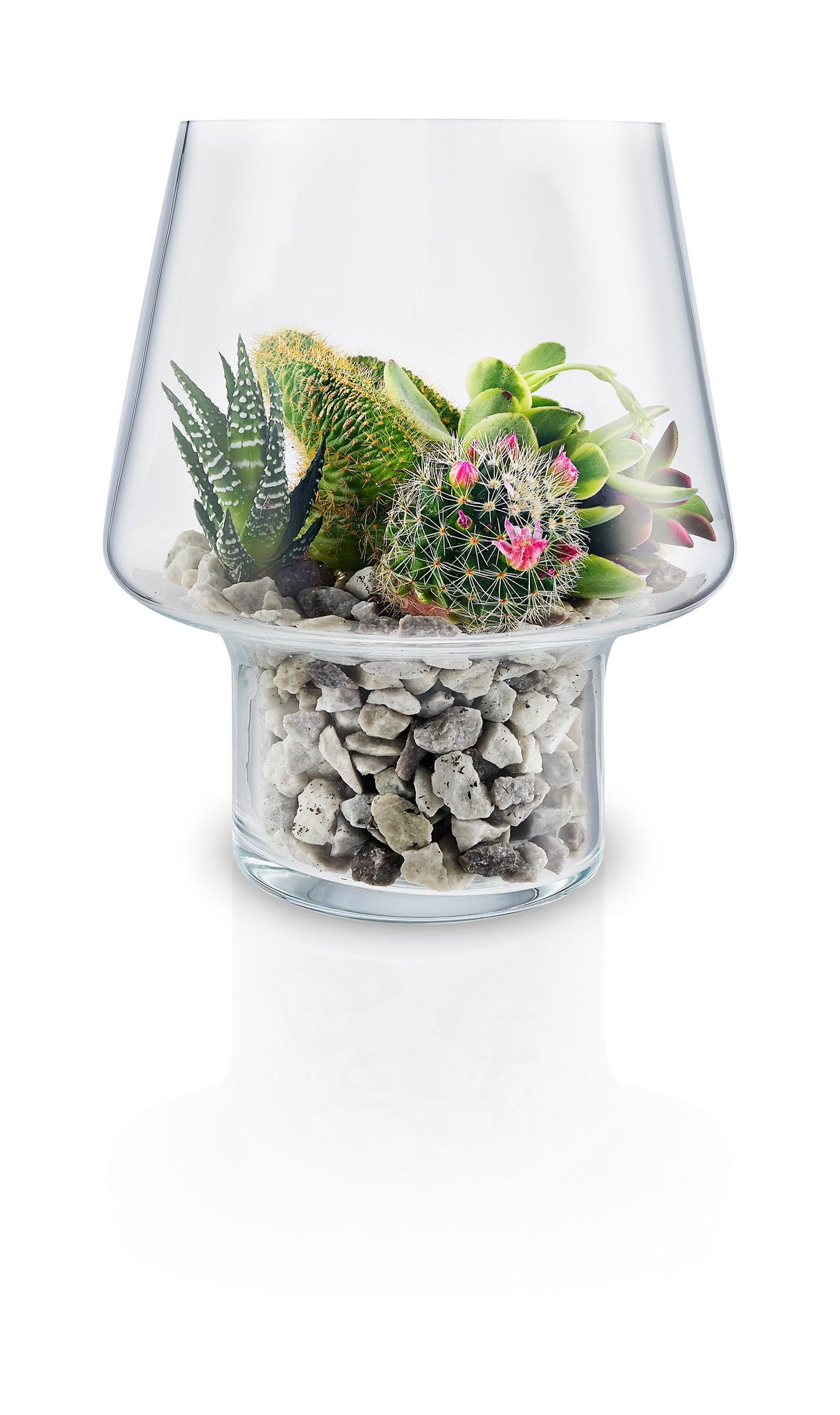 Succulent glass vase �15cm