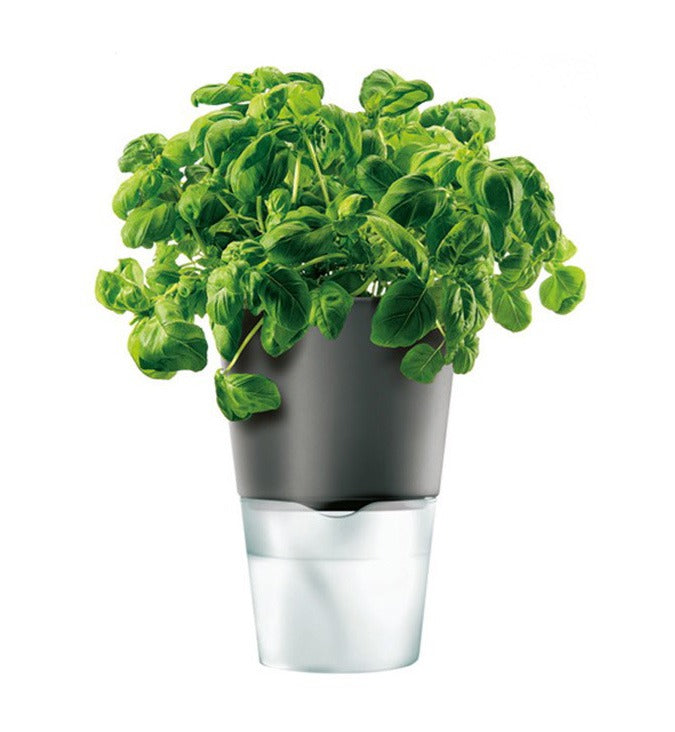 Herb pot 13 cm Dark grey