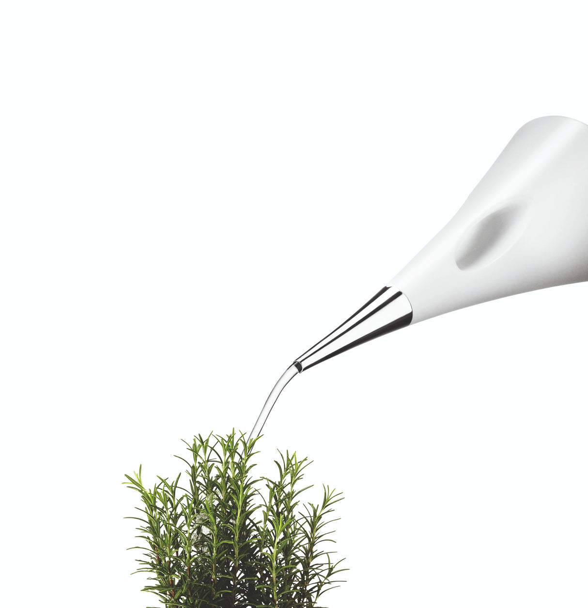 AquaStar watering can 2.0 l White