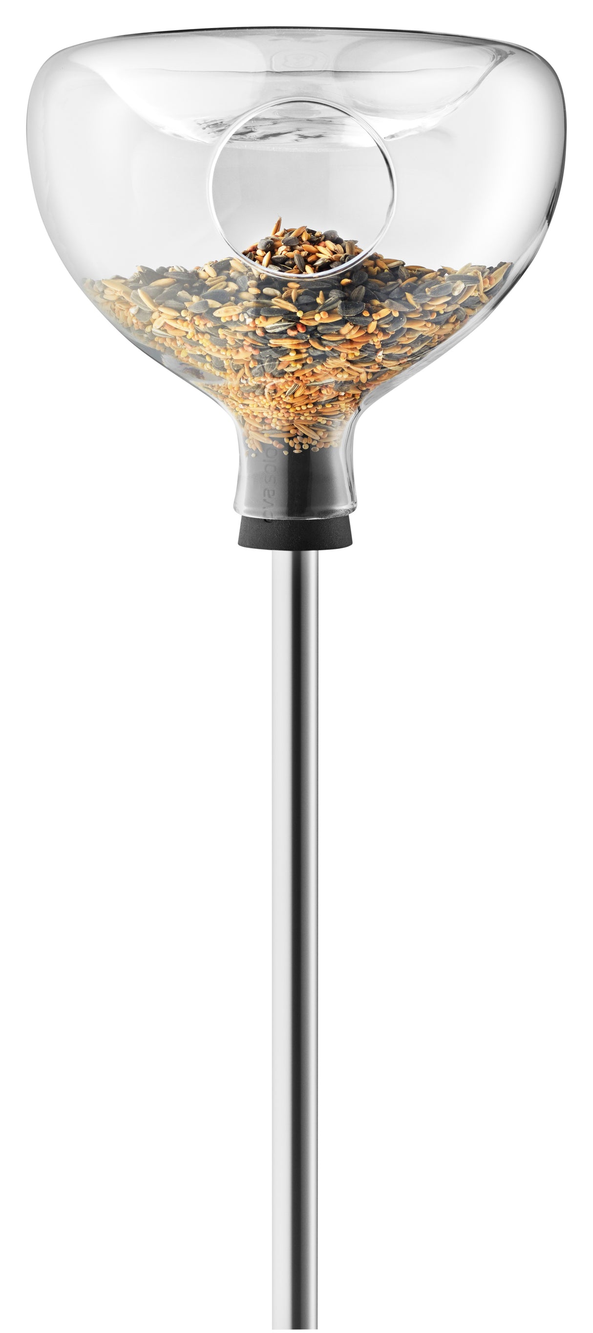 Glass bird table with bath