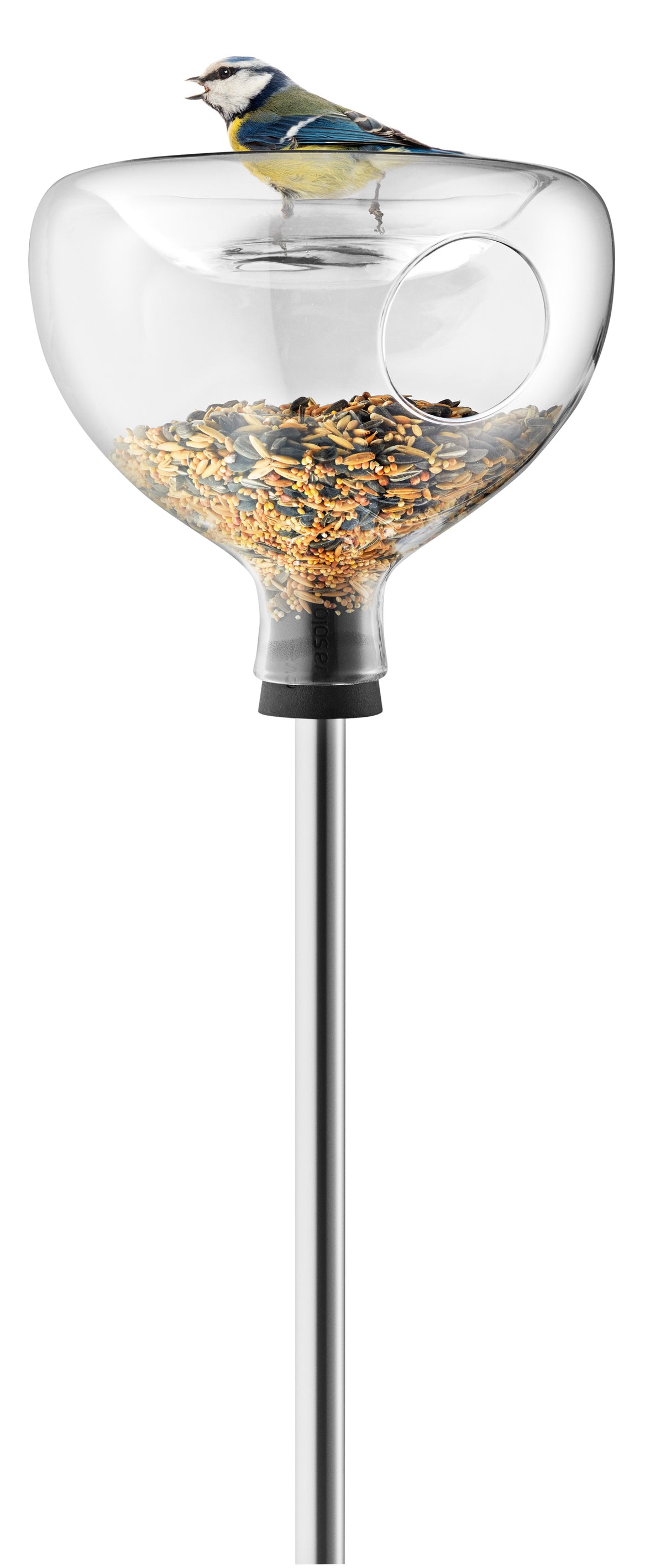 Glass bird table with bath