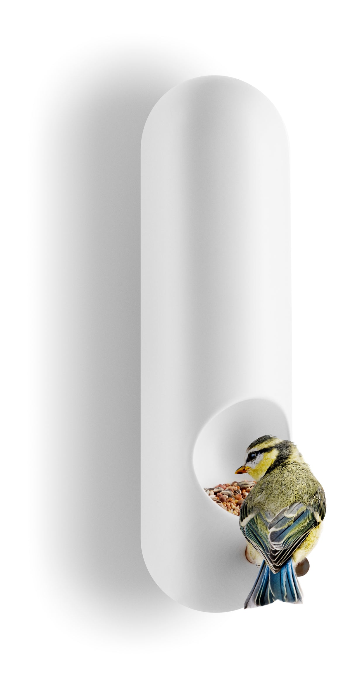 Bird feeder tube wall-mounted