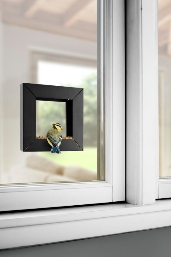 Frame birdfeeder