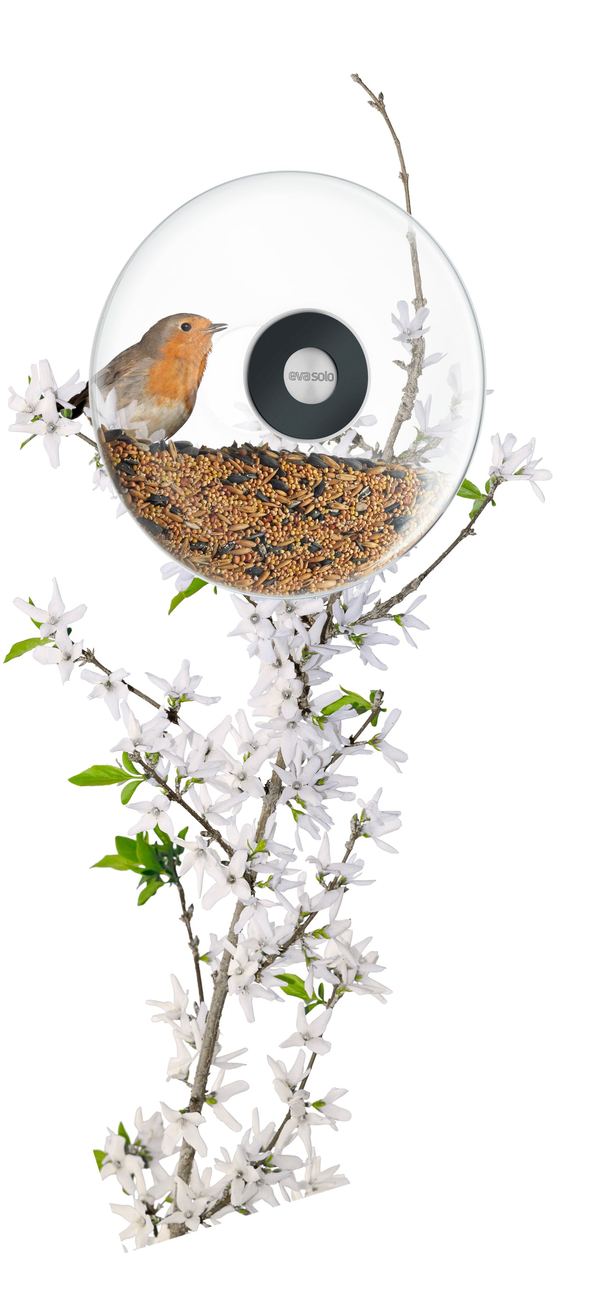 Window bird feeder large
