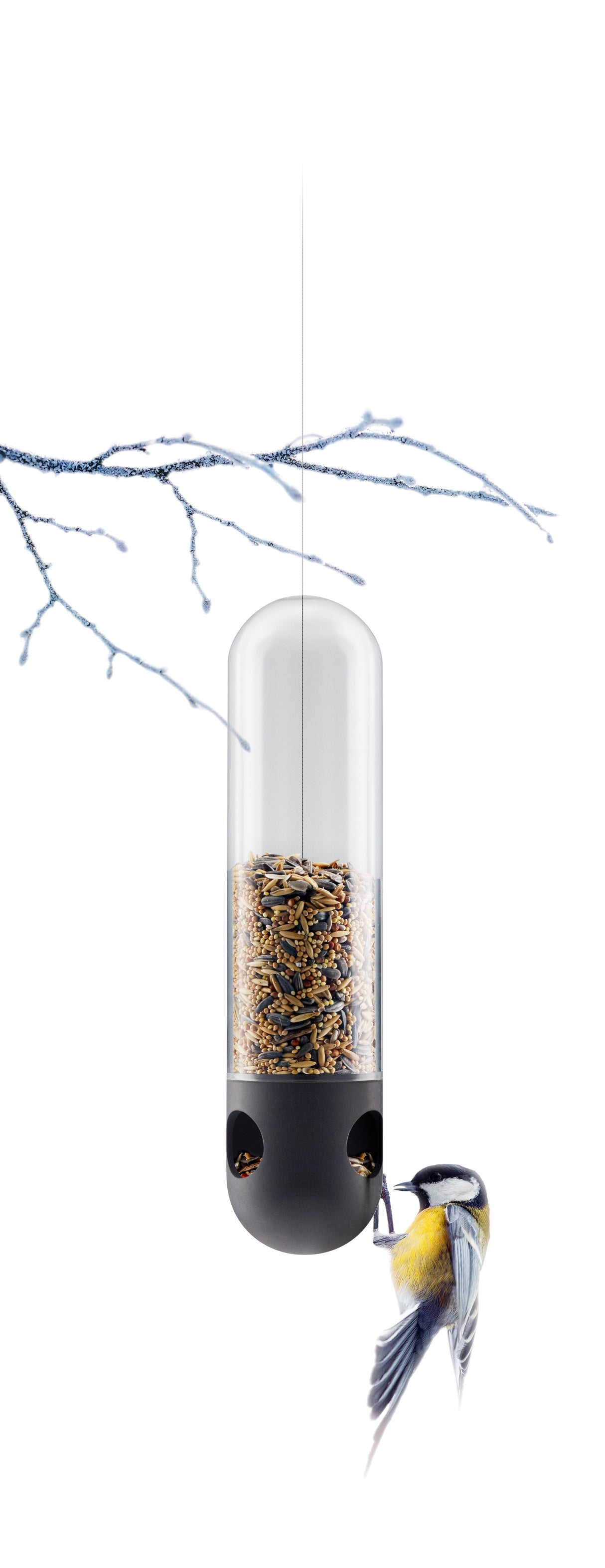 Bird feeder tube
