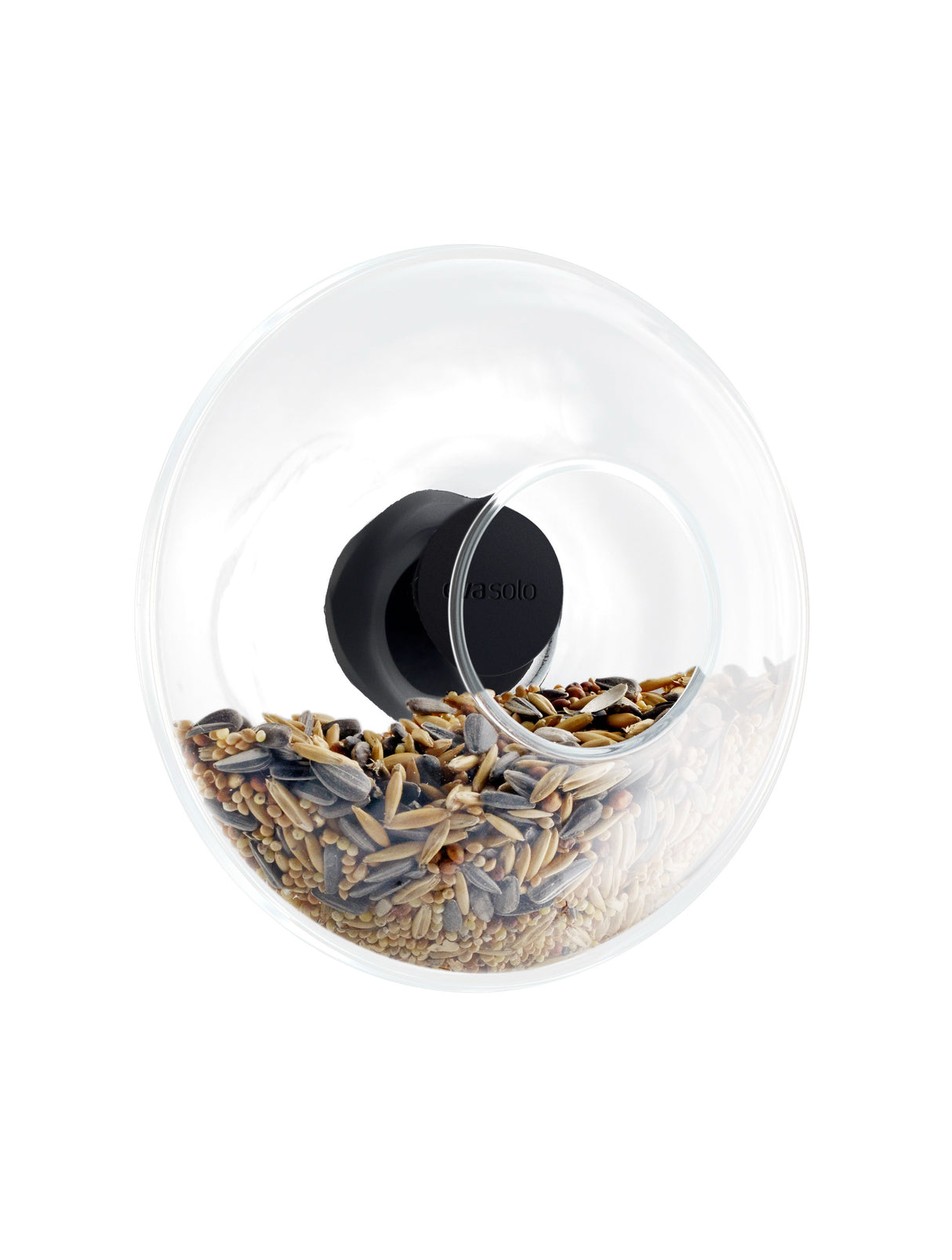 Window bird feeder