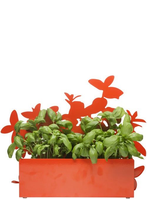 Form herb stand orange