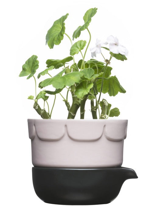 Double-barelled growing pot pink