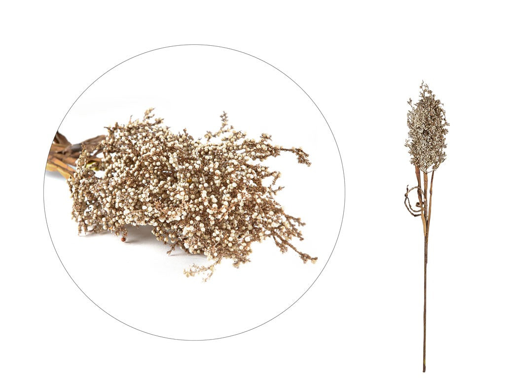 Decor Kvist Pampus Grass Light plastic L86 Nature