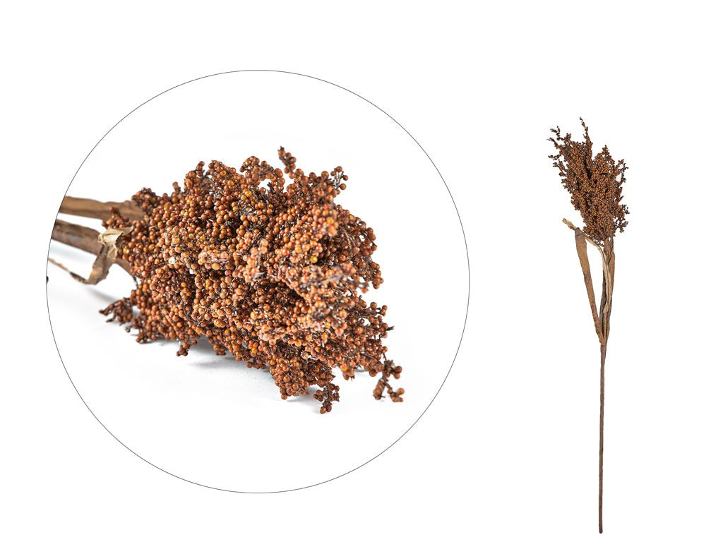 Decor Kvist Pampus Grass Dark plastic L86 Nature