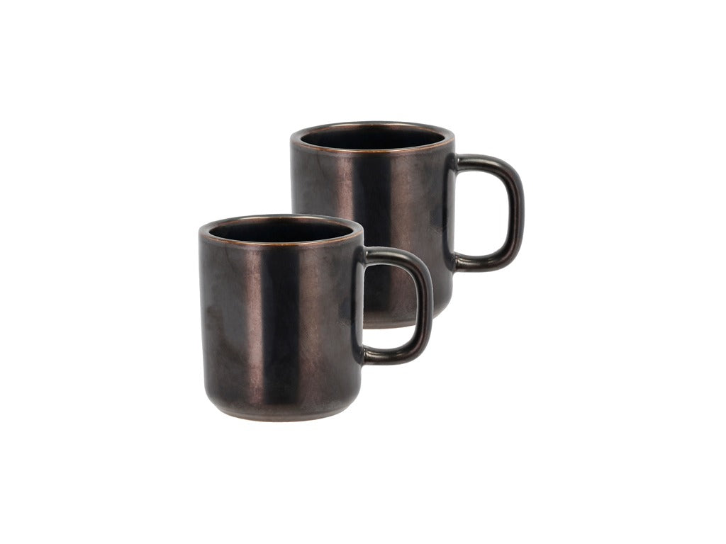 Mug Fjord 0.25 liter 2 pcs Black metallic Porcelain