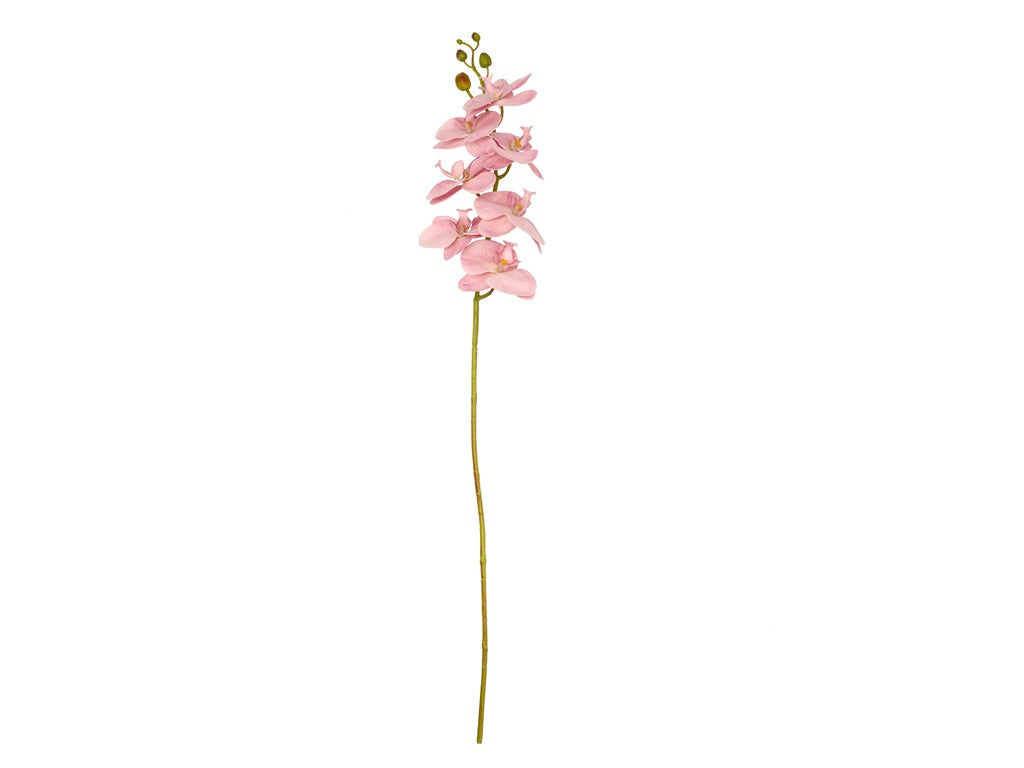 Orchid Styles 102 cm Rose