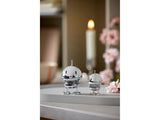 Hoptimist Bumble set XS/S Chrome