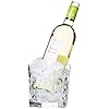 Club icebucket/winecooler with tong