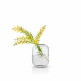 Acorn vase H16.5 clear