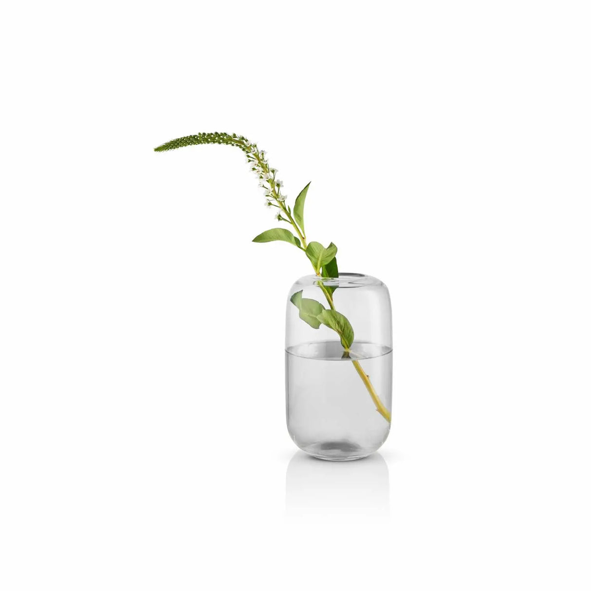 Acorn vase H 22 cm Clear