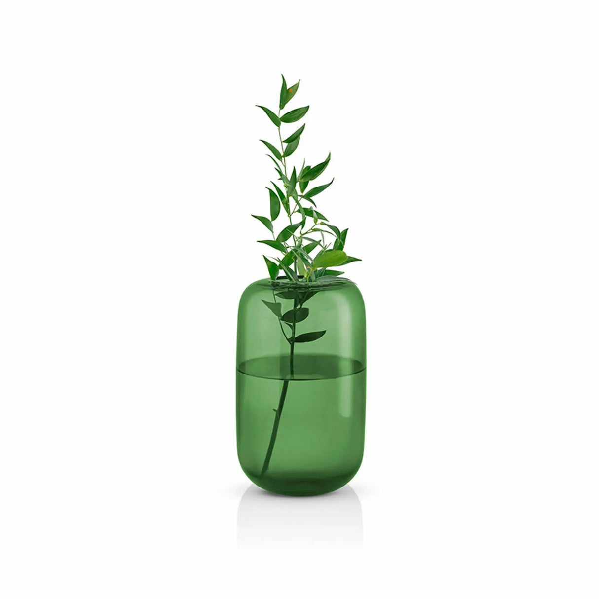 Acorn vase H 22 cm Pine