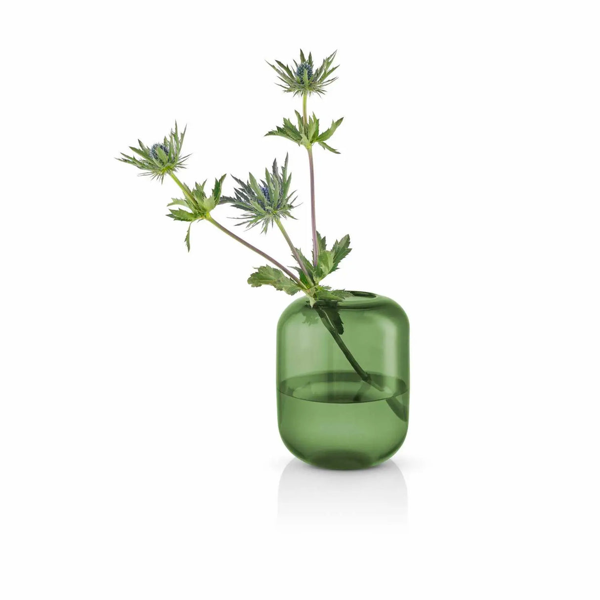 Acorn vase H16.5 Pine
