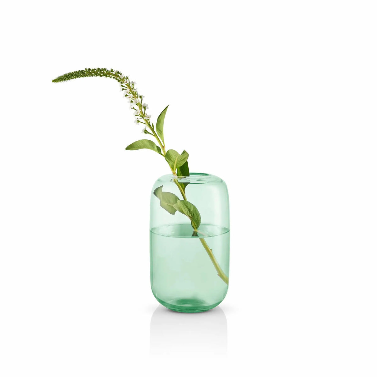 Acorn vase H22 Mint green