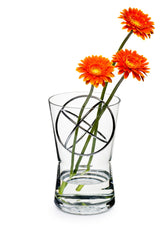 Vase M w. SS Ball Stainless