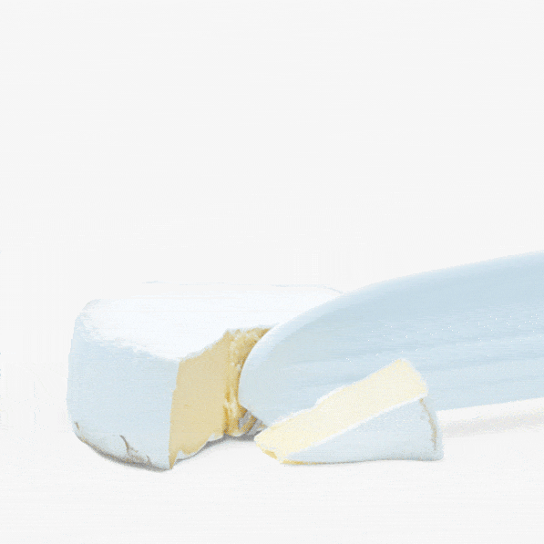 Knibble Lite - Yellow