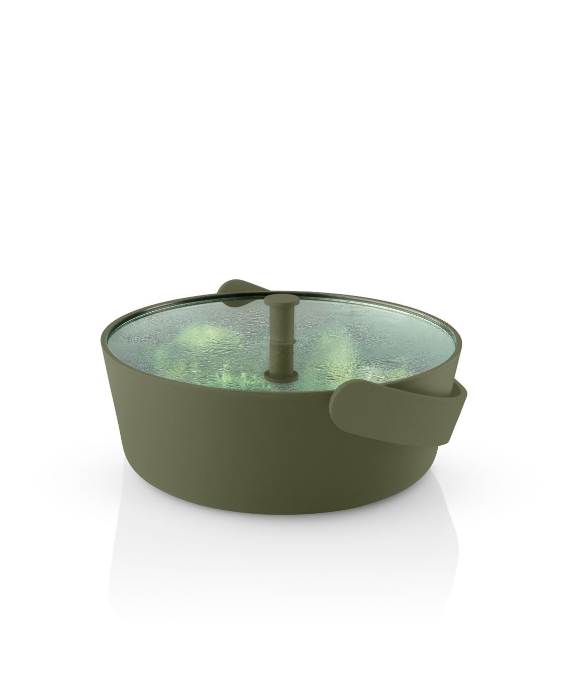 Green tools Steamer
