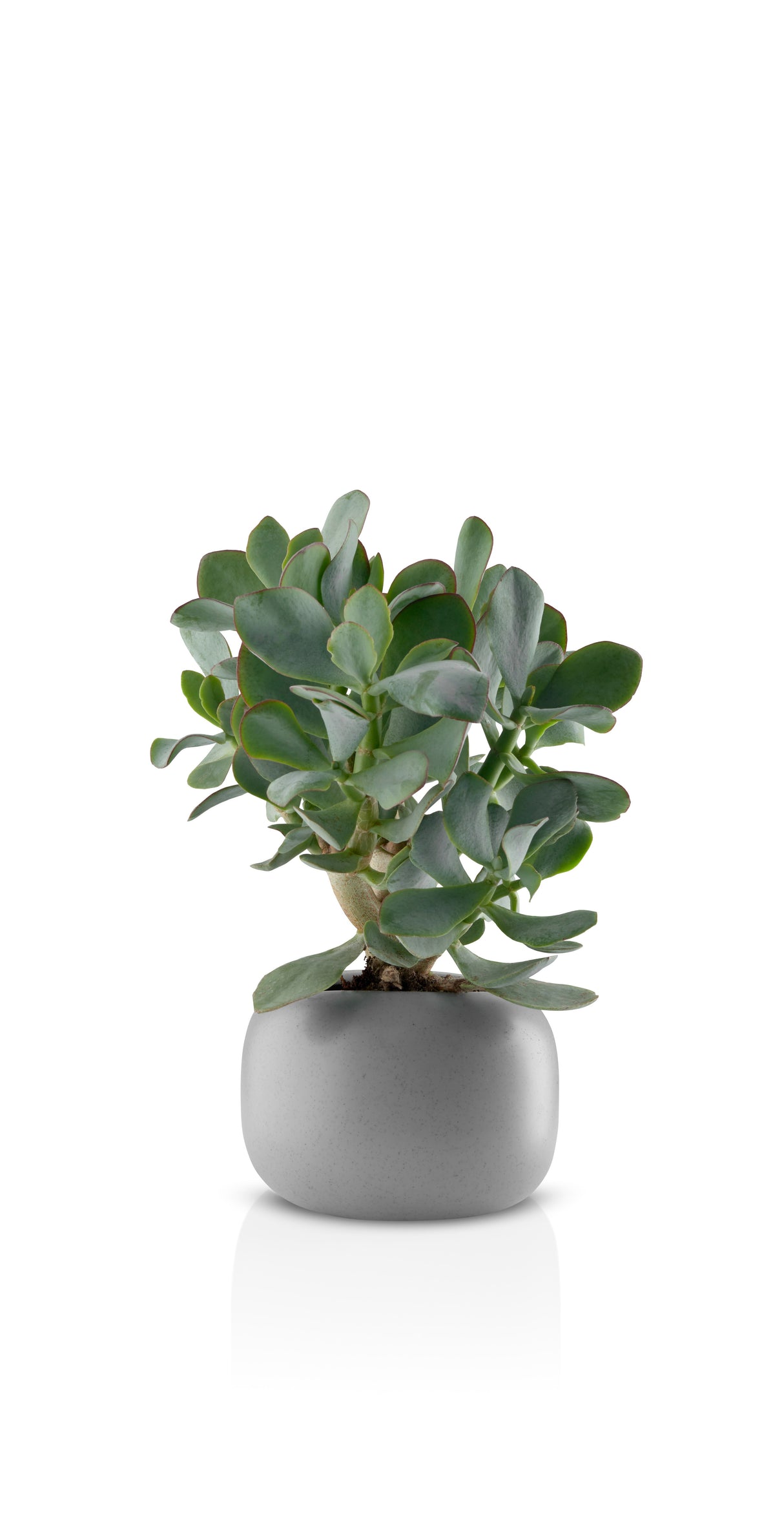 Stone flowerpot Ø16 cm
