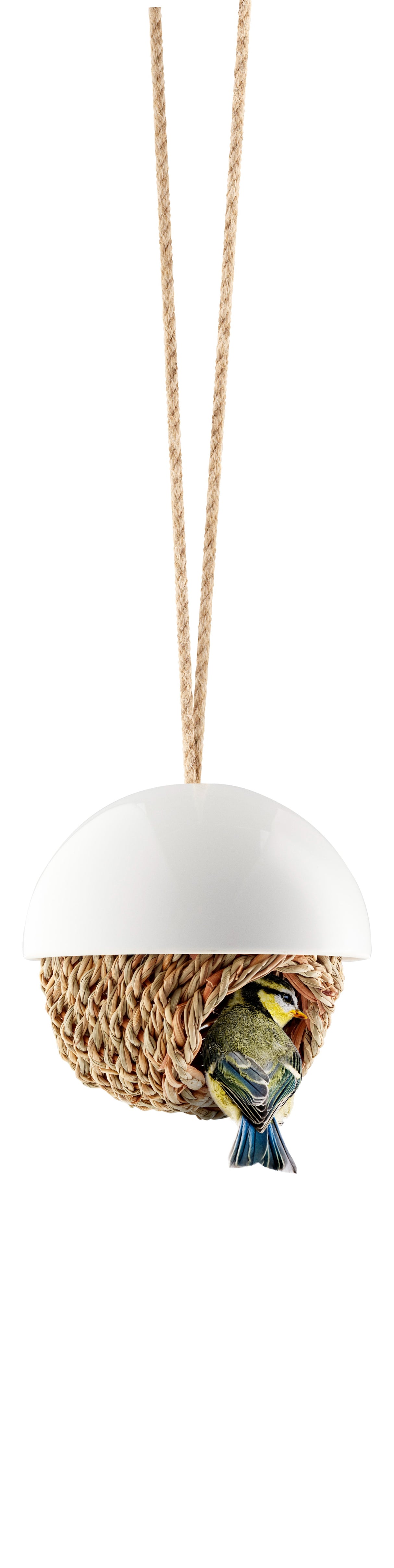 Bird shelter