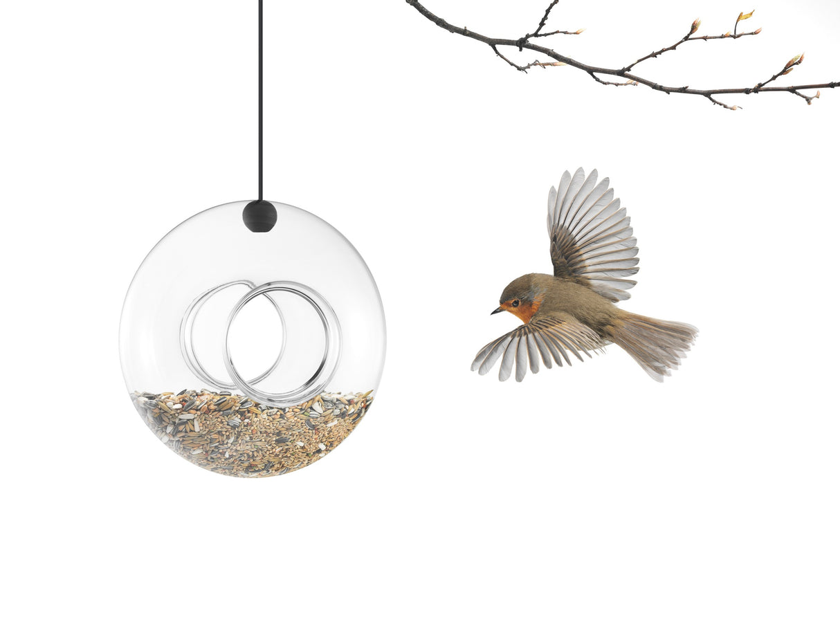 Bird feeder