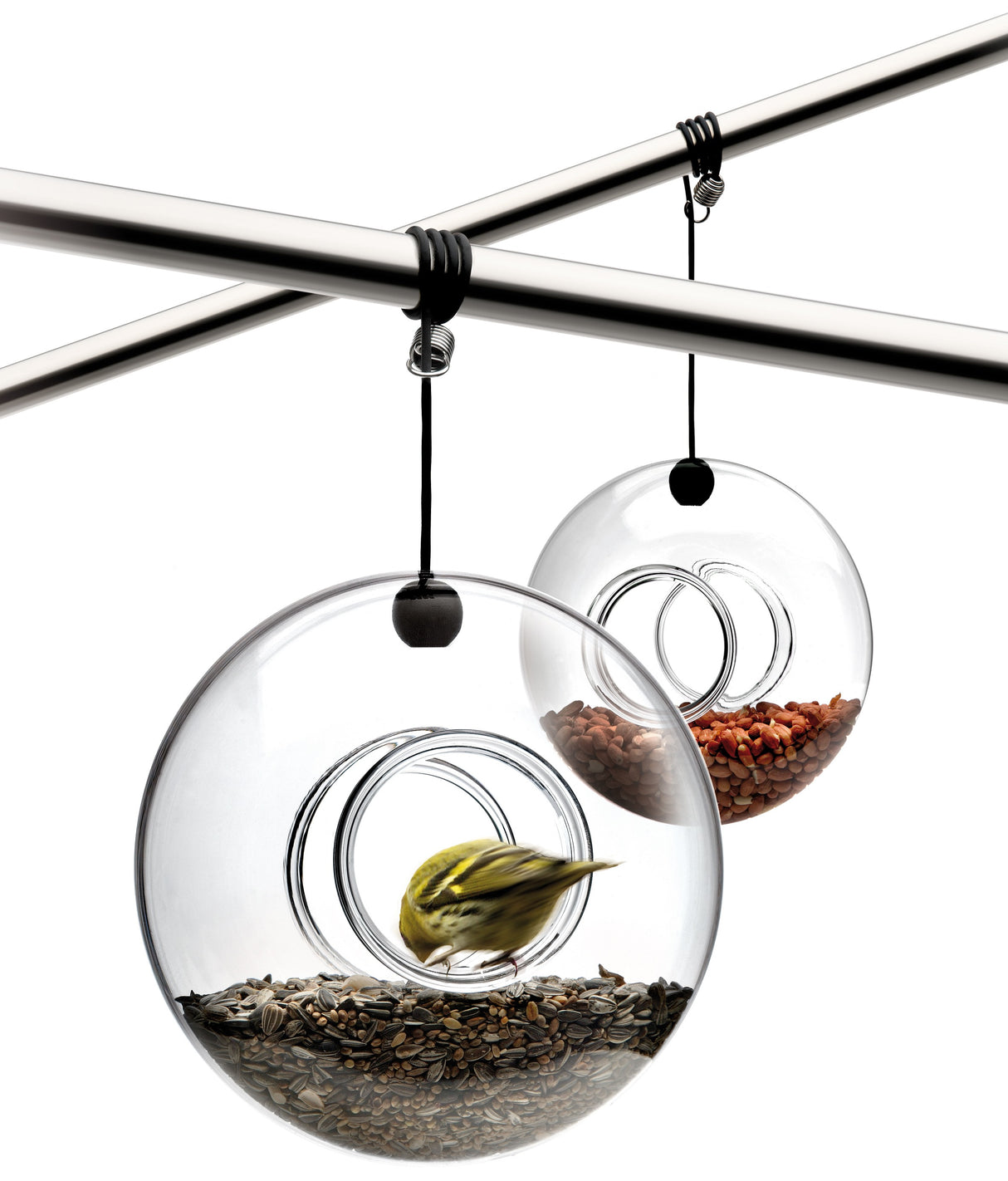 Bird feeder