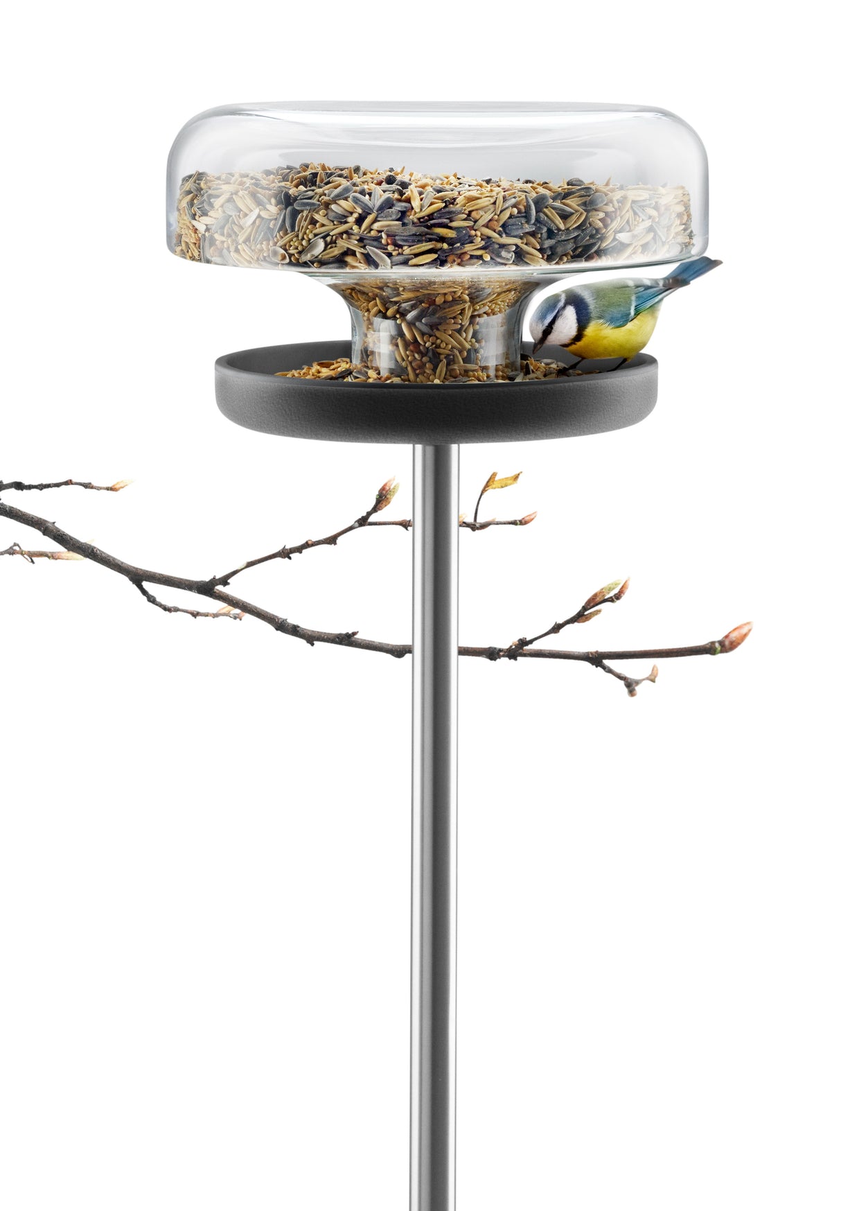 Bird table