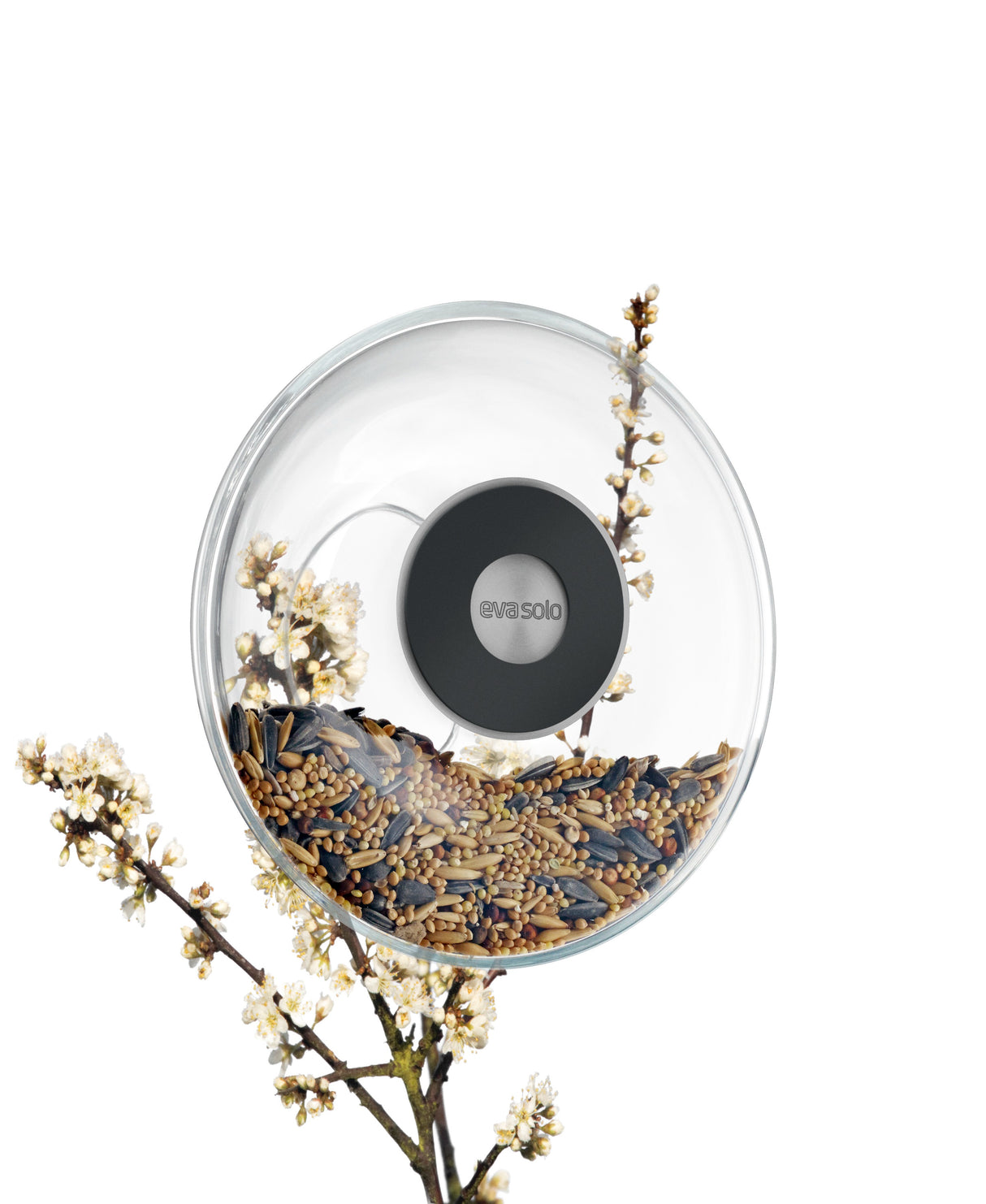 Window bird feeder