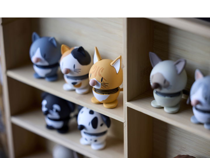 Hoptimist Blue American Shorthair Mini Blue