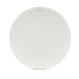 Plate Large - Homemade!