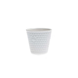 APEREGINA CUP WITHOUT HANDLE CC 75