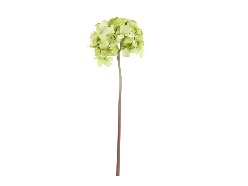 Hydrangea Styles 24 x 60 cm Green