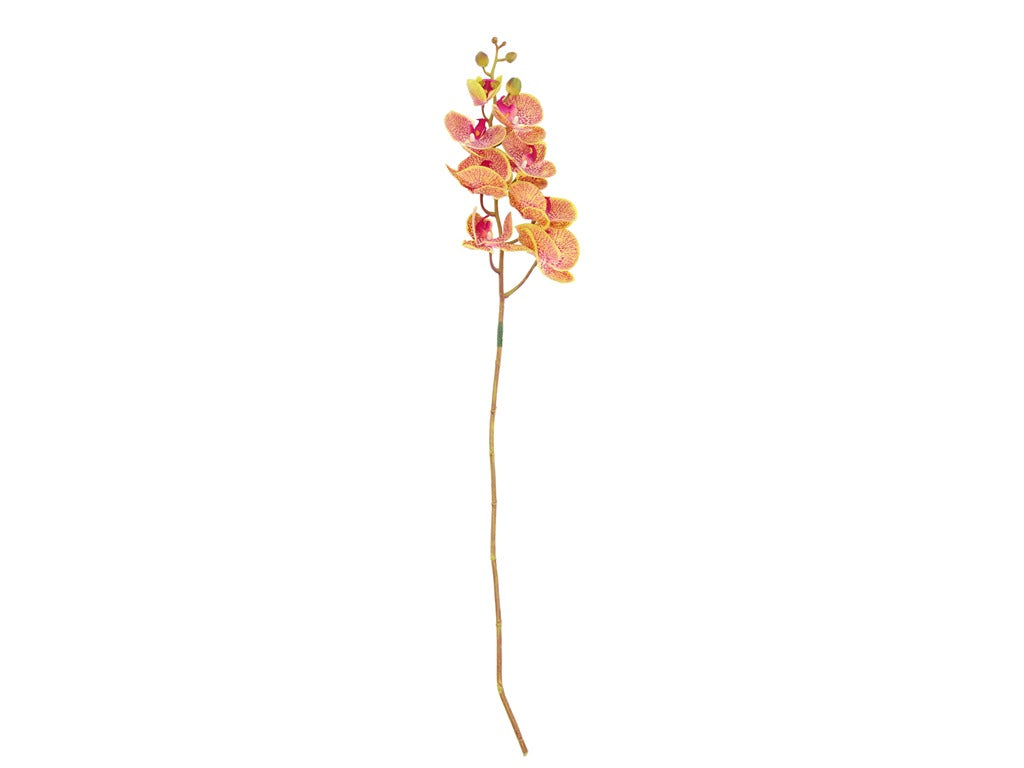Orchid Styles 102 cm Green/Rose