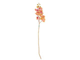 Orchid Styles 102 cm Green/Rose