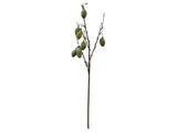 Decor Kvist Plum PP Green L86