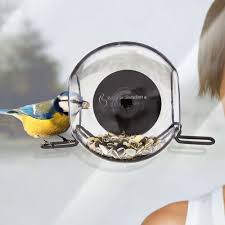 Bird Feeder Window Closeup